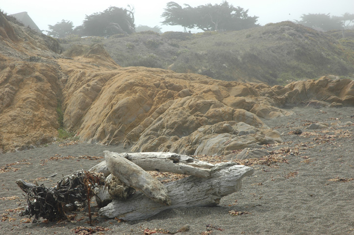 Moonstone Beach 035.jpg